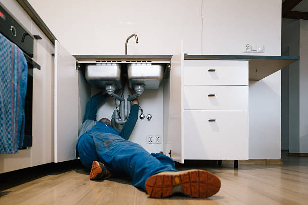 Professional Plumbing technician working in Palo, IA
